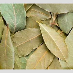 HOJAS LAUREL BADIA 5.67G X 12 UND