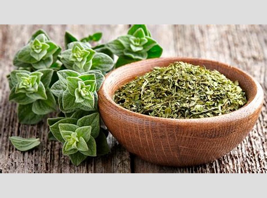 OREGANO MOLIDO BADIA 14.2G X 12 UND