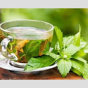 TE MANZANILLA BADIA 1G X 10 BOLS X 20 UND