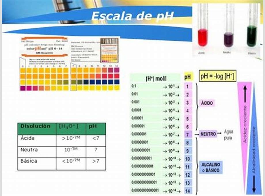 PH CONVEN EXTRA FINO 32 M